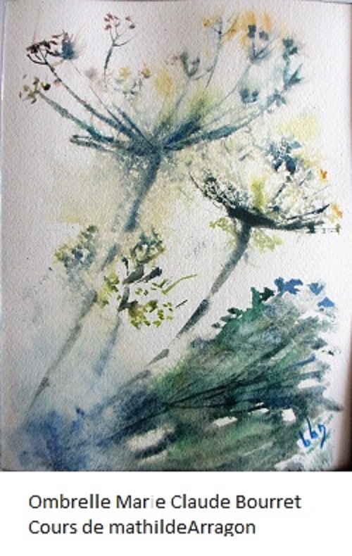 Image 18